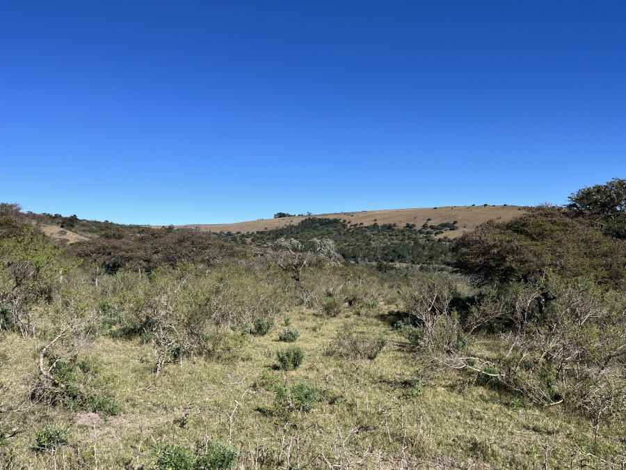 0 Bedroom Property for Sale in Stutterheim Rural Eastern Cape